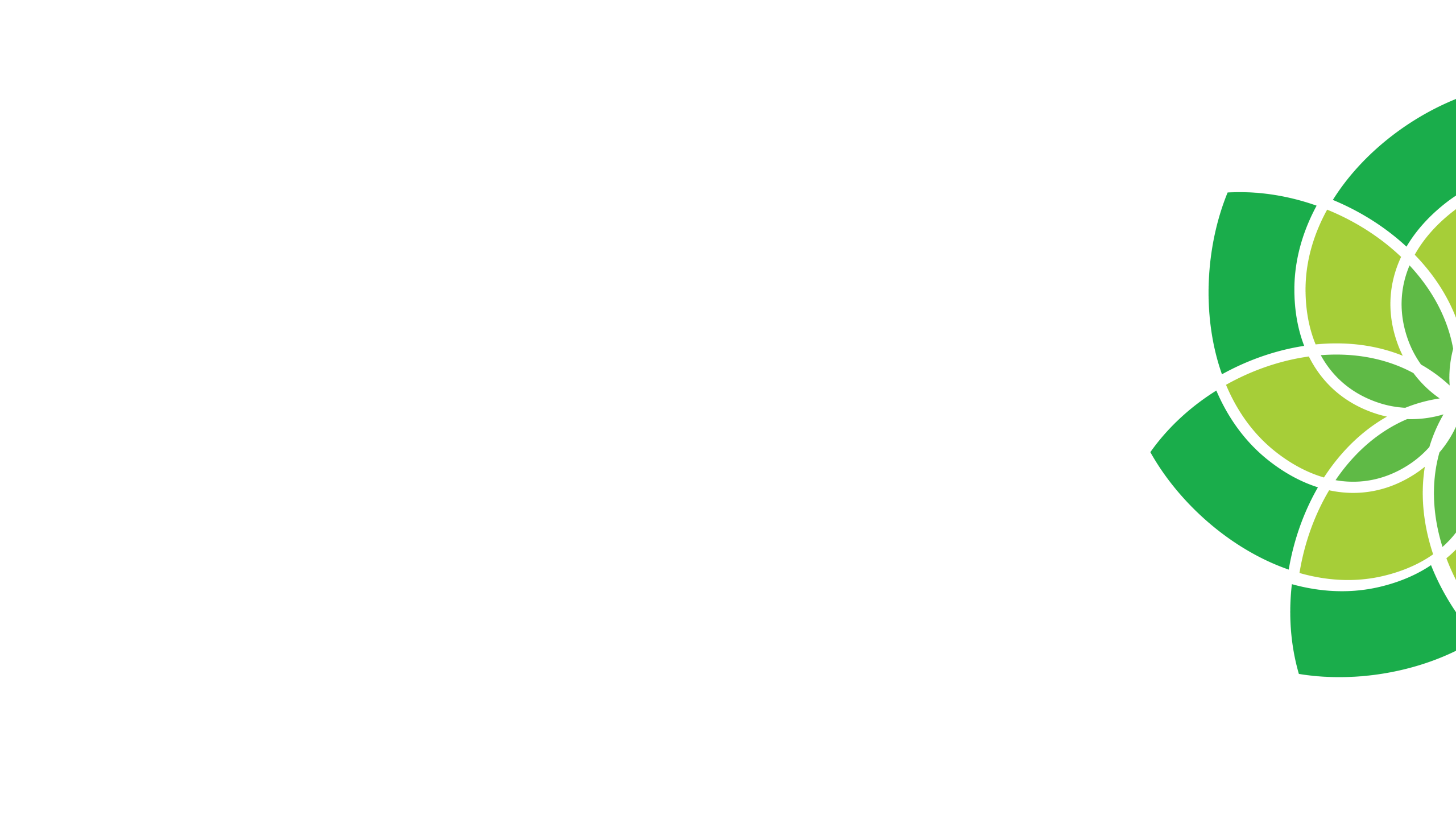 background-01